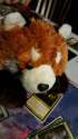 IMG_20160403_200705.jpg