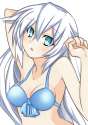 Noire339.jpg