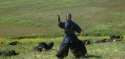 I AM A NINJA ... =(.gif