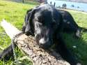 20140316_105336.jpg