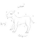 cian.png