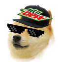 Doge.jpg