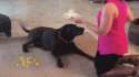 1408756465200.gif
