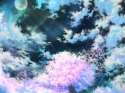 SakuraBlossoms.jpg