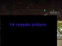 reveal 6.jpg