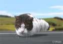1385321731191.gif