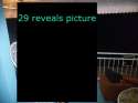 reveal 4.jpg