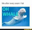 whale2.jpg