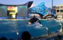 seaworld.jpg