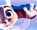 Judy-Hopps-disneys-zootopia-39269523-245-200.gif
