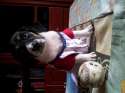 20131022_124325.jpg
