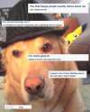 doge.jpg
