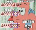1364254996033.jpg