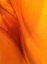 IMG-20150722-WA0014.jpg