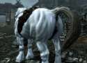 gary's real mare horse mod.jpg