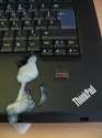 thinkpadlove.jpg