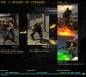 Stages of stalkan.png