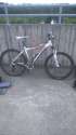 bikes3.jpg