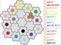 Color Wars2.png