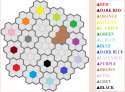 Color Wars3.png