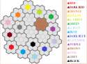 Color Wars4.png