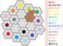 Color Wars5.png