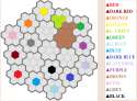 Color Wars6.png
