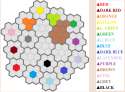 Color Wars7.png