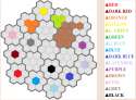 Color Wars8.png