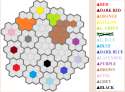 Color Wars9.png