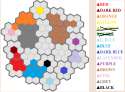 Color Wars13.png
