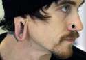 ear.jpg