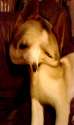 WarpPhotoBooth_635677537886524253.jpg