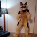 DancingDog4_BubbleGum.gif