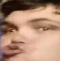 523236.jpg