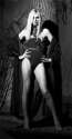 andreja(a)pejic1033.jpg
