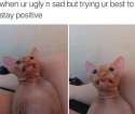 3HMEsYk.png
