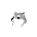 shibe.jpg