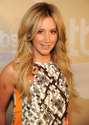 AshleyTisdale_TBSTNTUpfront2014_ (1).jpg