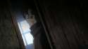 009 - B2PFrBg.gif