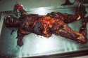 tmp_6992-burned.JPG-261868719.jpg