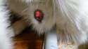 DSC00014.jpg