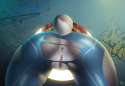 sample-3eecabf678e02cd0cd26f61fc2dd393a.jpg