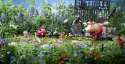 1370990073-pikmin-3-2.jpg