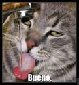tmp_29154-bueno1086338432.jpg