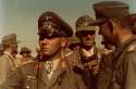 rommel7.jpg
