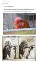 FB_IMG_1459854038898.jpg