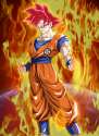 goku.jpg