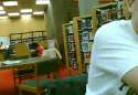 in-da-library-gif.gif