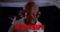 giphy (3).gif